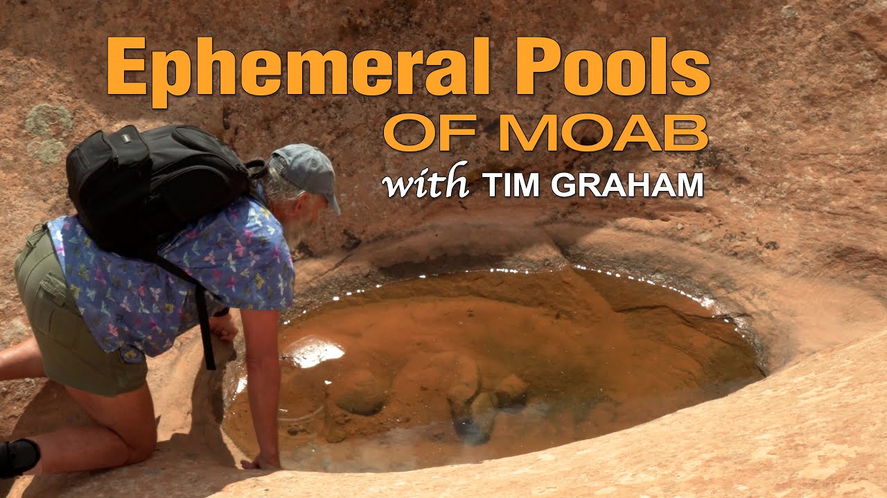 Moab Ephemeral Pools