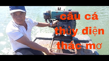 Hành trình săn thác lác cườm tại thủy điện thác mơ.#tuansongray#caucathaclac#lure#caudai