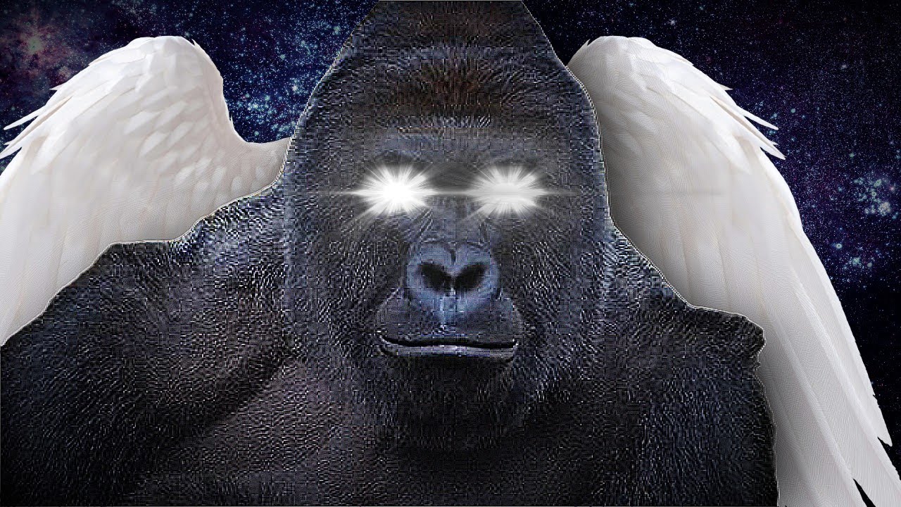 How harambe’s death inadvertently caused Covid-19