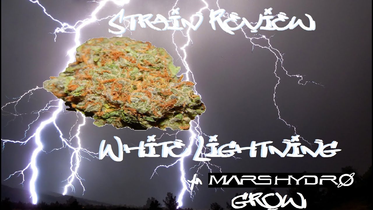 White Lightning Kush Strain Cannabis Strain Review +Mars Hydro Grow
