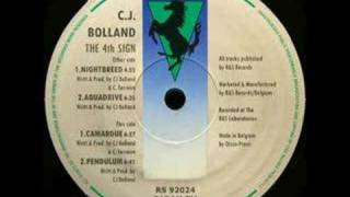 Video thumbnail of "CJ Bolland - Camargue [1992]"