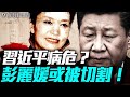 習健康危機大曝光 彭麗媛神隱山東老家 中南海權力洗牌在即 薇羽看世間 20250718 習健康危機大曝光 彭麗媛神隱山東老家 中南海權力洗牌在即 薇羽看世間 20250718