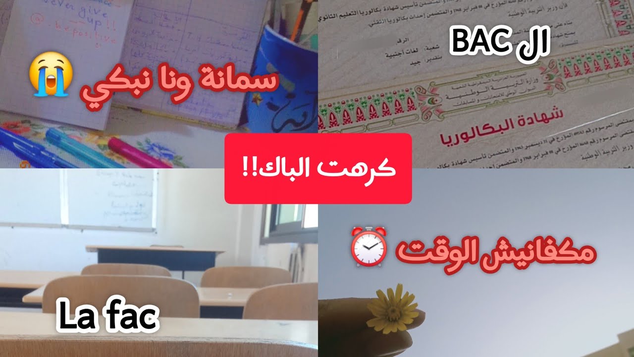 تجربتي مع البكالوريا(أهم الحاجات لي تعلمتها💡 +نصائح❤️)