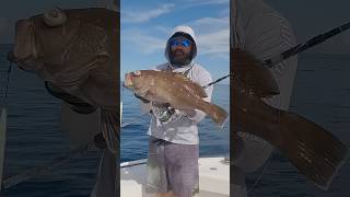 Snowy Grouper 800 feet Slow Jigging Silk Ocean PE 2.5