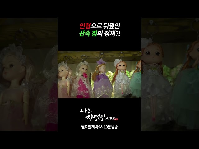 인형으로 뒤덮인 산속 집의 정체? | 나는 자연인이다