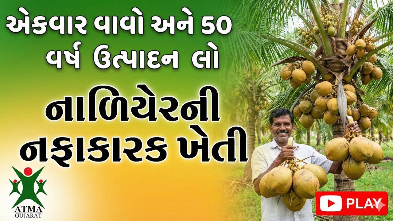 એક વાર વાવો અને 50 વર્ષ સુધી ઉત્પાદન લો નાળિયેરની નફાકારક ખેતી 