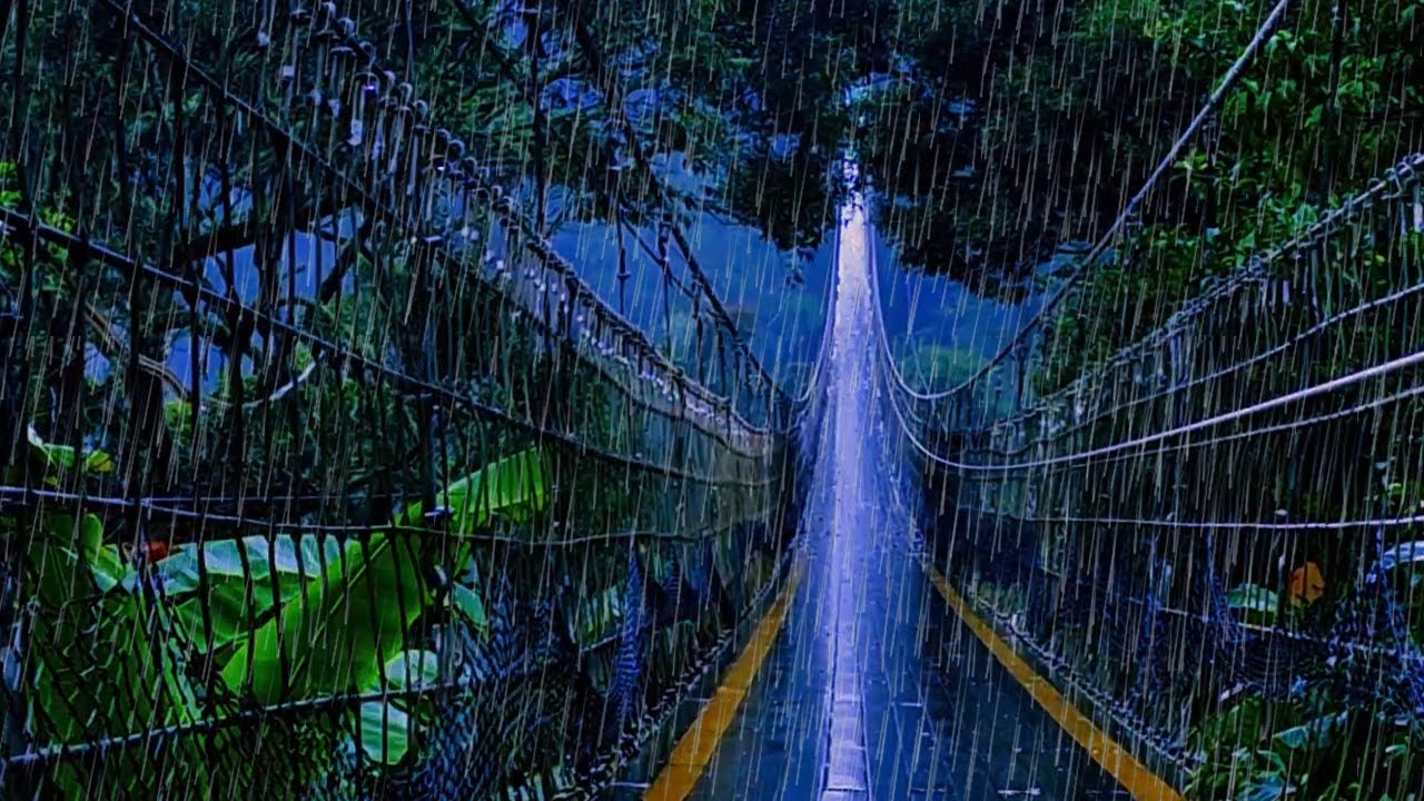 Rain Sounds in the Forest | Calm Nature Ambience | No Thunder Sounds