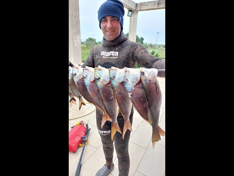pescasub maggio 2023 una giornata divertente