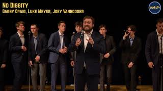 A Cappella Cover - No Diggity - 20th Anniversary Concert
