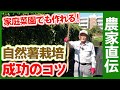 自然薯は家庭菜園で作れる！かんたん自然薯栽培の方法を農家さんに聞いてみた！むかごの簡単な収穫方法もご紹介【農家直伝】