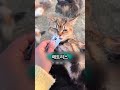 그가 집을 지어 주었더니 고양이들이 아주 마음에 들어 했어요!