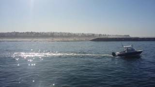 Whale watching, aboard The Privateer.