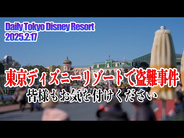 東京ディズニーランド TODAY 322部 東京ディズニーランド TODAY 322部 - メルカリ