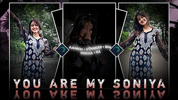 YOU ARE MY SONIYA new viral status video edit alight motion xml by THE PAPPU EDITOR