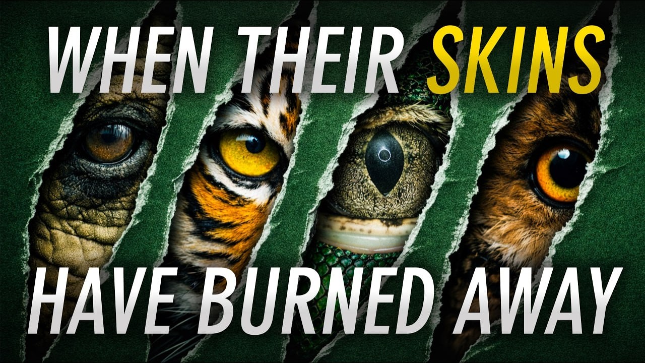 Коранический аят, доказывающий реинкарнацию