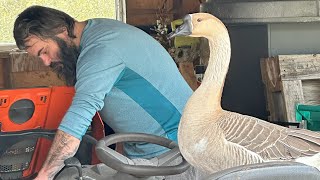 Anal jinsiy aloqada orgazmni boshdan kechiradiganlar