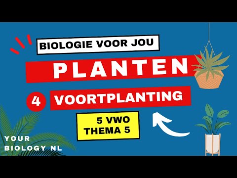 Video: Watter tipes) voortplanting het plante?