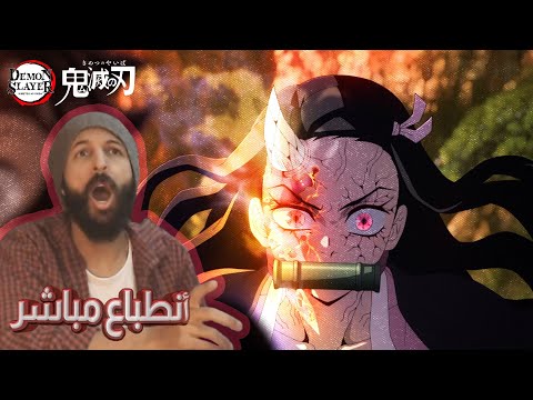 انطباع مباشر الموسم الثالث حلقة 11 من انمي قاتل الشياطين Demon Slayer