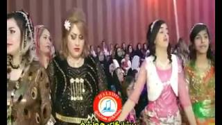 New Persian Dari Iranian Tajiki Persian Songs Kurdish Songs