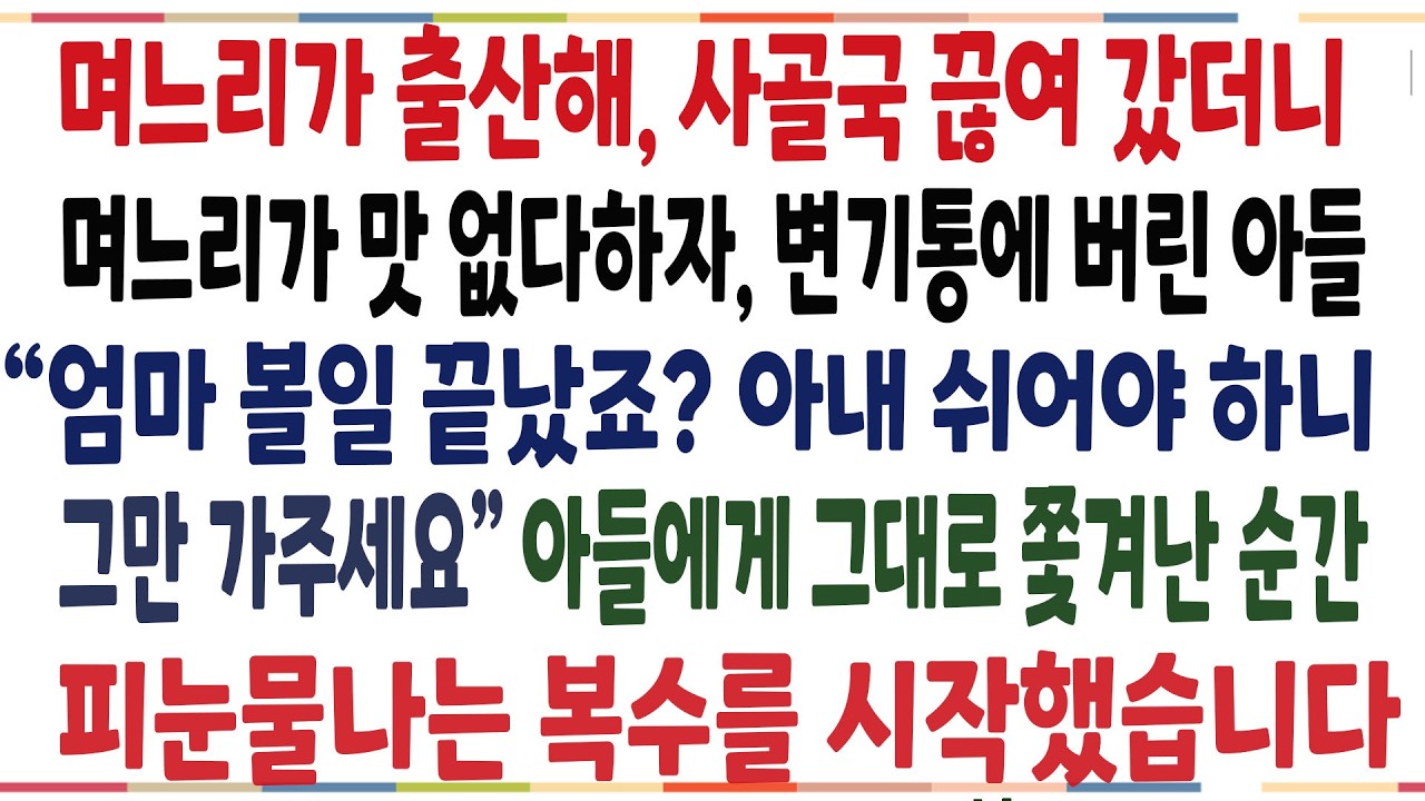 (반전신청사연)며느리가 출산해, 직접 사골국 끊여 병원에 갔더니, 며느리 한마디에 변기통에 버린 아들! 즉시 연끊고 눈물나게 복수해줬습니다[신청사연][사이다썰][사연라디오]