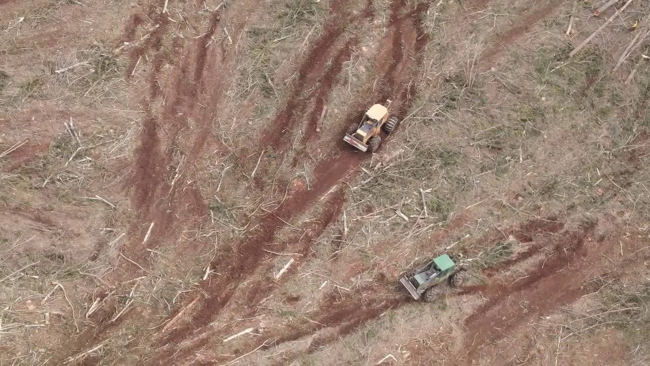 Madereo LOS PELLINES