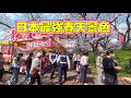 日本最震撼櫻花景點！幸手権現堂桜堤櫻花×油菜花雙重爆擊🌸