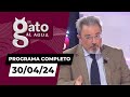 El gato al agua  300424