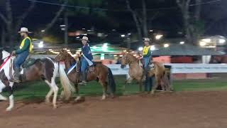 Cavalo Jovem de Marcha Batida. Expô Campolina Formiga-MG 2026.