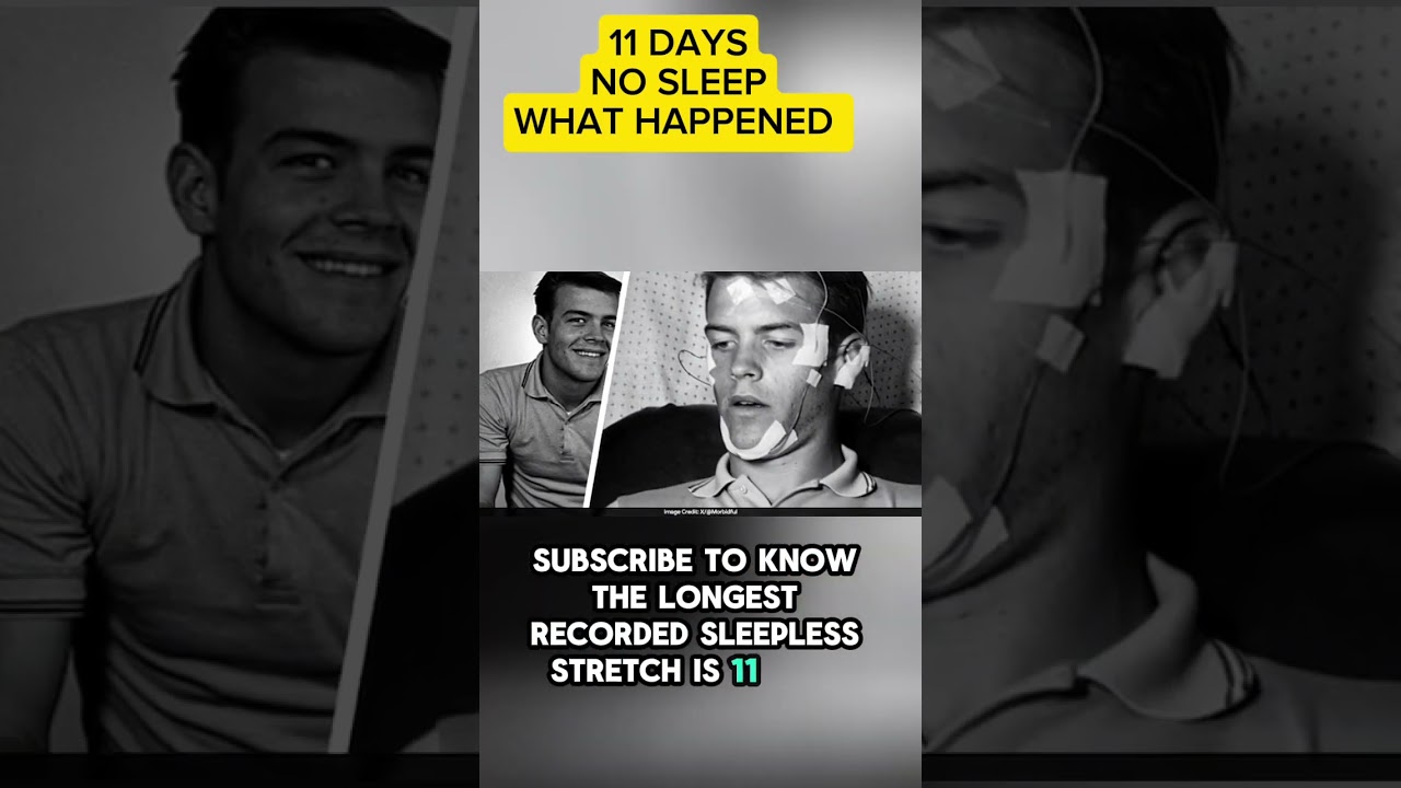 Кто-то не спал 11 дней 😱 