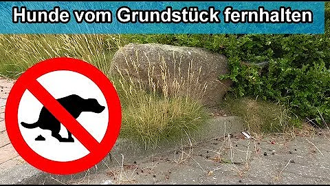 Welcher Ton vertreibt Hunde?