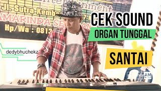 Cek Sound GLERR SANTAI | Organ Tunggal | Alink Musik