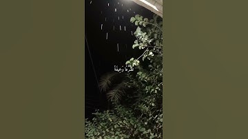 وَإِذَا قُرِئَ الْقُرْآنُ فَاسْتَمِعُوا لَهُ || تلاوة جميلة بصوت #ياسر_الدوسري