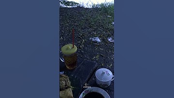 WARKOP PINGGIR BENGAWAN|#gresik #kopi #caffe #masukberanda #ngopi #warkop #kedaikopi #story #warkopi
