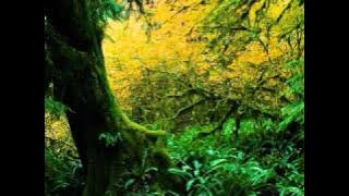 Anugrahathin Athipathiye malayalam christian songs