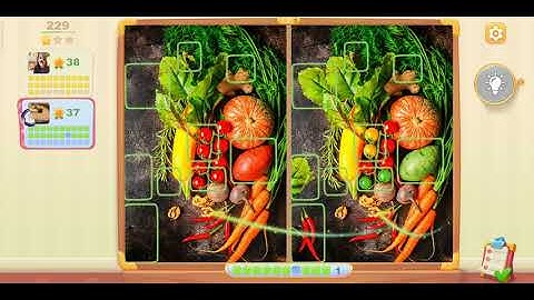 5 Differences Online Game level 229 part 2