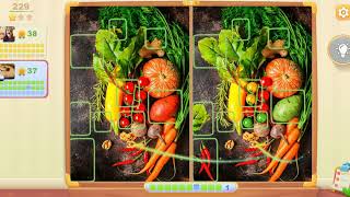 5 Differences Online Game level 229 part 2