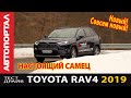 Toyota RAV4 2019 настоящий самец. Первый тест-обзор