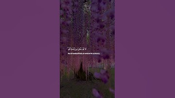 قرآن كريم تلاوة عذبة من القرآن الكريم الشيخ محمد اللحيدان quran