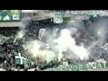 Panathinaikos  brothers ultras  gate 13  ultras rapid  curva sud 