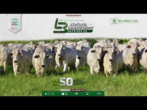 LOTE 14   E 5174