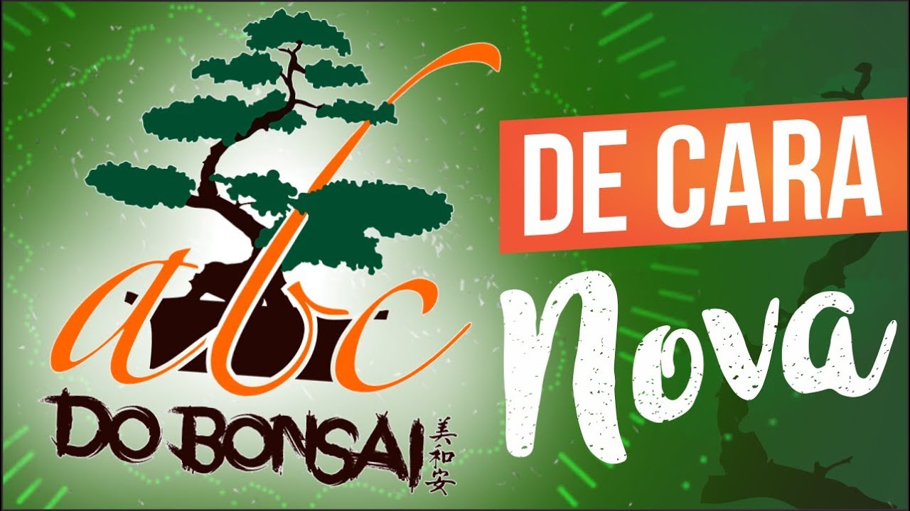NOVIDADES NO ABC DO BONSAI YouTube