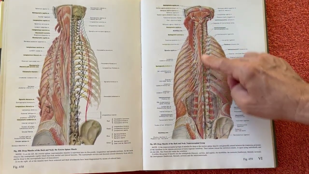 Vidéo n°170 : Le double zéro