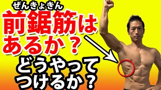 前鋸筋はあるか？あるとかっこいい！逆三角形を演出！腹筋とのコンビネーション！