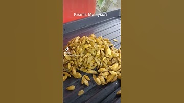 Thumbnail of Betul lebih sedap pd kismis...Jeruk Belimbing Buluh Kering