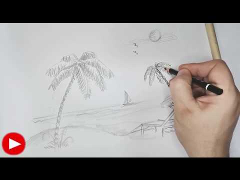 Video: Come Disegnare Una Palma A