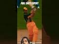 Ricky Ponting pull shot collection#cricket#viral#ytshorts
