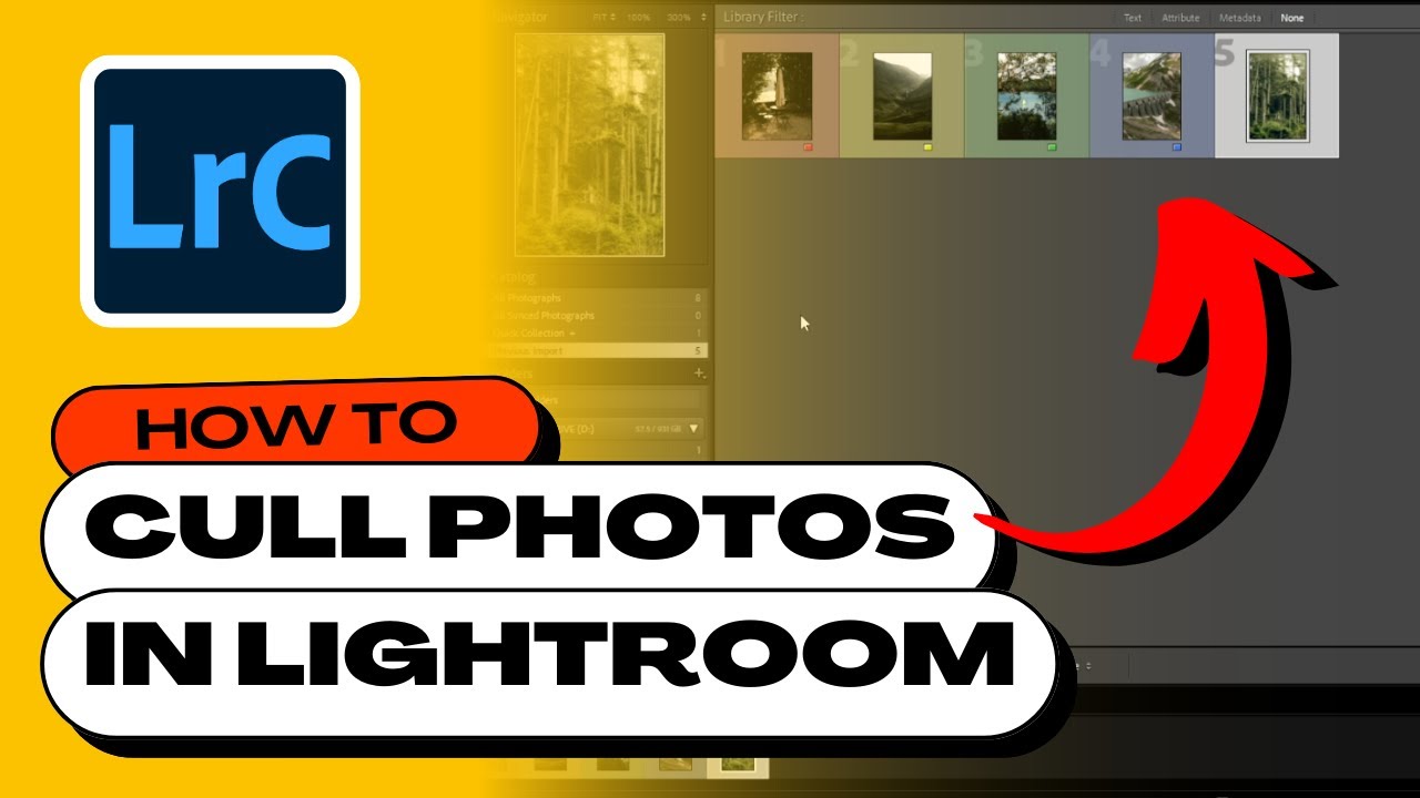 How to Cull Photos in Lightroom Easily (Tutorial)