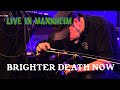 Capture de la vidéo Brighter Death Now - Live 4/18/22 - Ms Connexion