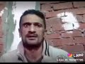 صفقة الكلاب