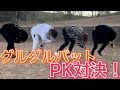 【激戦】グルグルバットPK対決
